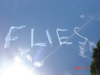雲で書かれた「FLIES」
